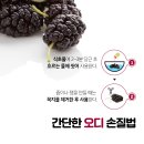 동의보감농수산 네이버블로그