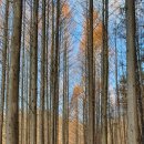 화인상사 이미지