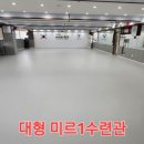 용인대 미르 태권도장 이미지