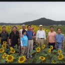 진위천 방아리 이미지