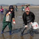 쏙잡이체험 네이버블로그