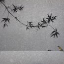 에스지연합의원 이미지