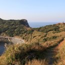 녹산등대가는길 이미지