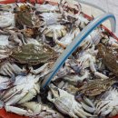 당진시 송악읍 신복운로 | [당진 맛집 추천] 점심에 즐겼던 내돈내산 간장게장&amp;게국지 맛집 "꽃게와꽃게집"