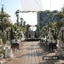 스테이 서래 이미지