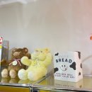 크림버니 이미지