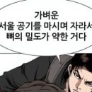 카페민트 이미지