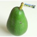아보카도 Avocado 일명 식물성 버터" 이미지