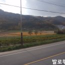 고령군개진면보건지소 이미지