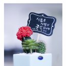 시흥시 종합일자리센터 이미지