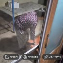 억부소리~^^ 이미지