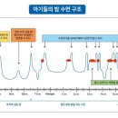 새벽네시