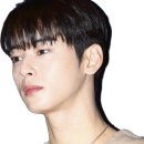 슬릭 이미지