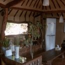 가랑잎새 이미지