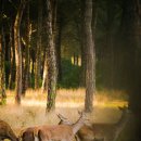 독서감정코칭 이미지