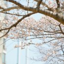 달록비치 이미지