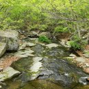 운주산 등산로 이미지