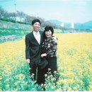 만물목장 이미지