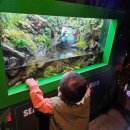 가람어린이집 이미지