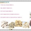 강남동약한의원 이미지