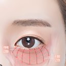 옳은손성형외과 | 지방이식 수술,리얼 후기 + 필수 준비물 총정리...오스킨 저스트 옳은손 리엔장 성형 외과 강남 병원