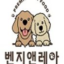 벤지애견 이미지