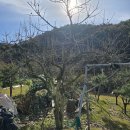 참새골농장 이미지