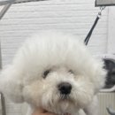 몽글몽글 이미지