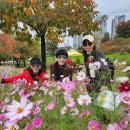 송정제방길 이미지