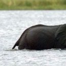 신은초교 이미지