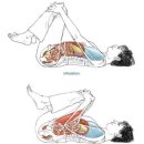묵타요가 | [요가지도자 기말고사] 올해 제 꿈은 이겁니다