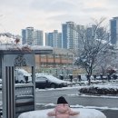 빠샤 태권도장 이미지