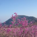비슬산 이미지
