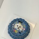 쌍용자동차 김포양촌서비스프라자 | 김포 강아지케이크 주문제작 가능한 애견수제간식 댕까댕까