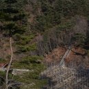 감악산 물맞이길(고행의 둘레길) 이미지