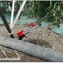 유일농장 이미지