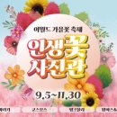 해바라기사진관 - 평택시 세교로 47 | 해바라기사진관