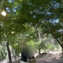 루몽드917 이미지