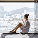 시크릿파크 이미지