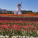 대광농장3 이미지