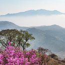 3/28~29 토요무박-"진달래 명산 일번지" 여수 영취산 진달래&향일암 일출 산행 안내-32,000 이미지