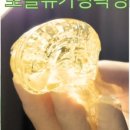 뽀블슈가링왁싱