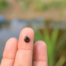 이천매곡초교 이미지