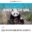 푸바오 매니저 알바 이미지