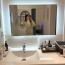 다이어트팩토리 | 체질개선 다이어트 효과 직접 느낀 후기 이뮨팩토리 관리 추천