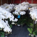 천호대로 213길 이미지