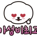 컴퓨터파는가게