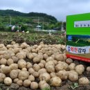 보성유기질비료 이미지