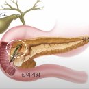 췌장 낭종(물혹) 이해하기(24.02.01) 소화기내과 김재환 교수 이미지