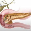 [진료실에서 못다한 이야기] #4 췌장&담도암, 환자들이 가장 많이 묻는 질문 10가지 / 삼성서울병원 소화기내과 이규택 이미지